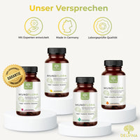 Delvina MundFlora Lutschtabletten Zitrone sortiment